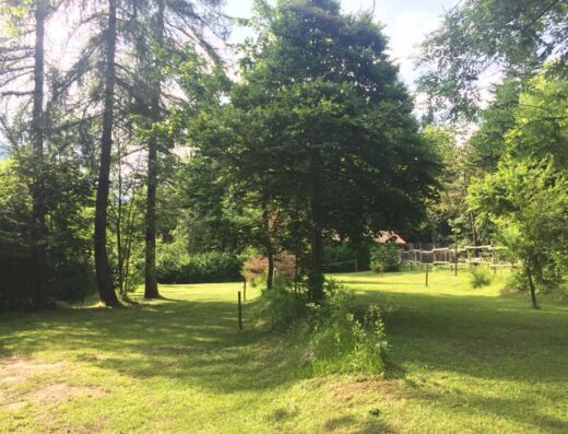 CAMPING IL BOSCO