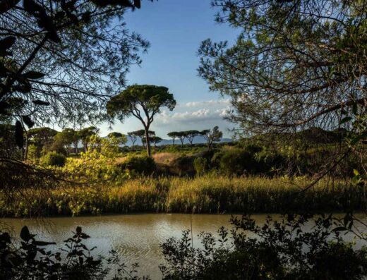 CAMPING IL SOLE