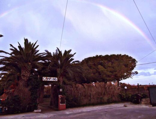 CAMPING ALLE PALME