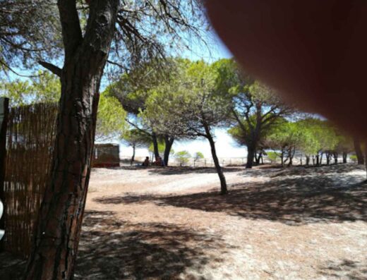 MARINA DI BUDONI