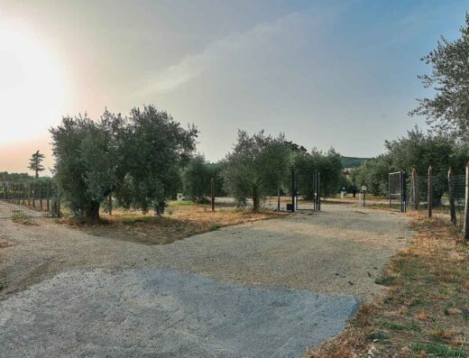 AGRISOSTA L’ISOLA DEGLI ULIVI