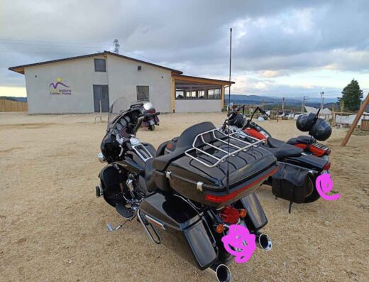 BICI & MORE
