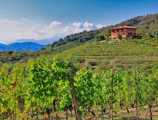 PODERE AI VALLONI