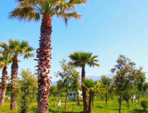 AGRICAMPEGGIO VALLE LAO AREA CAMPER